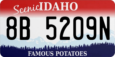 ID license plate 8B5209N