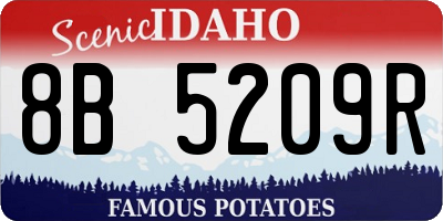 ID license plate 8B5209R