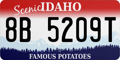 ID license plate 8B5209T