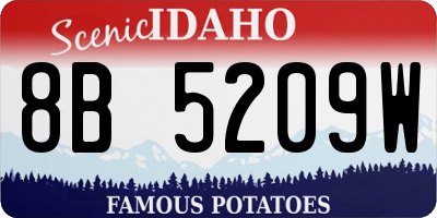 ID license plate 8B5209W