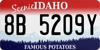 ID license plate 8B5209Y