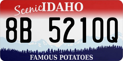 ID license plate 8B5210Q