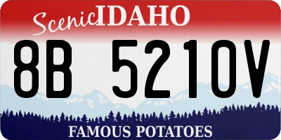 ID license plate 8B5210V