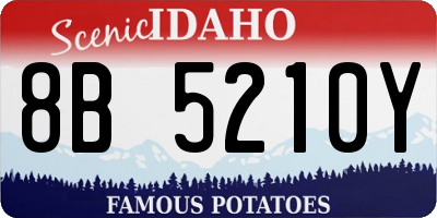 ID license plate 8B5210Y