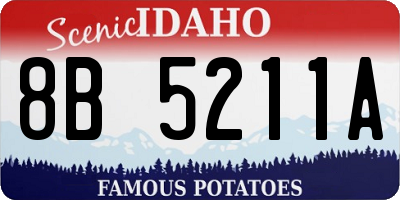 ID license plate 8B5211A