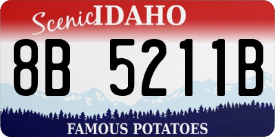 ID license plate 8B5211B