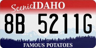 ID license plate 8B5211G