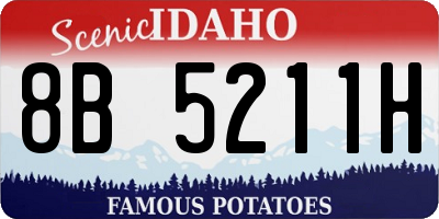 ID license plate 8B5211H