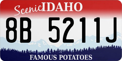 ID license plate 8B5211J