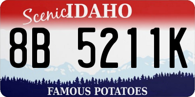 ID license plate 8B5211K