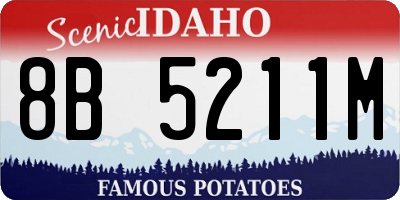 ID license plate 8B5211M