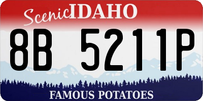 ID license plate 8B5211P