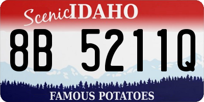 ID license plate 8B5211Q
