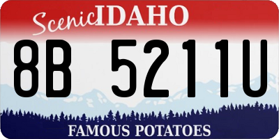 ID license plate 8B5211U