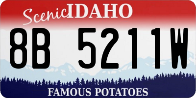 ID license plate 8B5211W