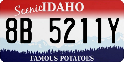 ID license plate 8B5211Y