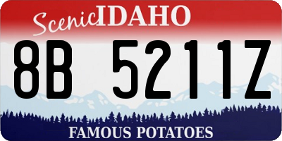 ID license plate 8B5211Z