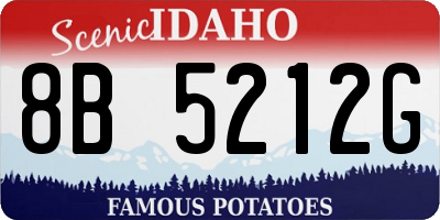 ID license plate 8B5212G