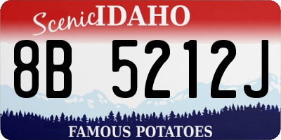 ID license plate 8B5212J