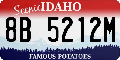 ID license plate 8B5212M