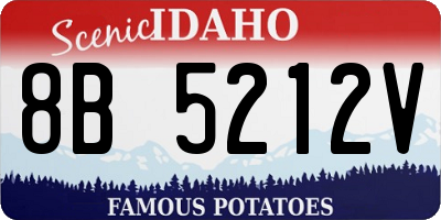 ID license plate 8B5212V