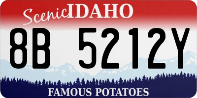 ID license plate 8B5212Y