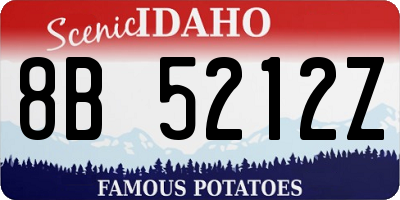 ID license plate 8B5212Z