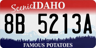 ID license plate 8B5213A