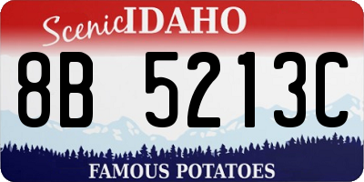 ID license plate 8B5213C
