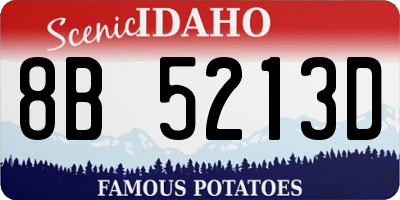 ID license plate 8B5213D