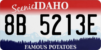 ID license plate 8B5213E