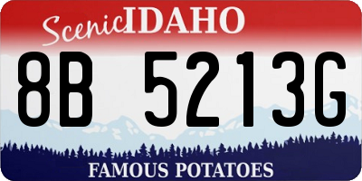 ID license plate 8B5213G