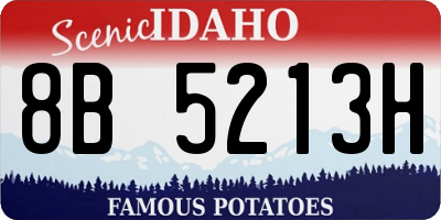 ID license plate 8B5213H