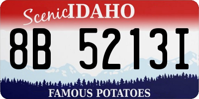 ID license plate 8B5213I