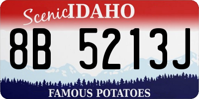 ID license plate 8B5213J