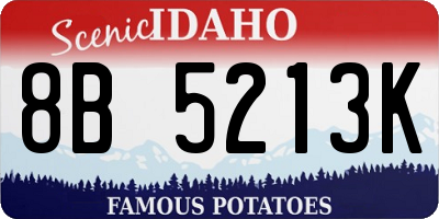 ID license plate 8B5213K