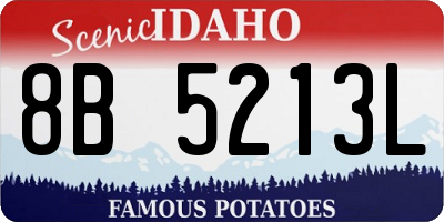 ID license plate 8B5213L