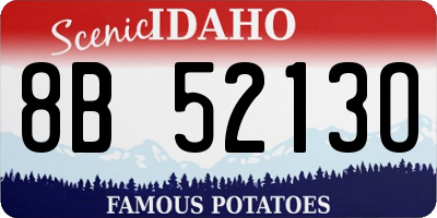 ID license plate 8B5213O