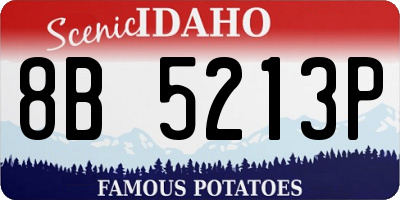 ID license plate 8B5213P