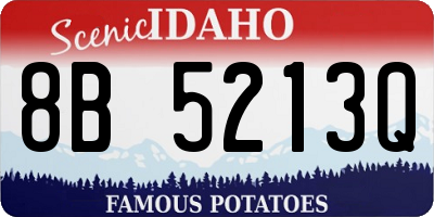 ID license plate 8B5213Q