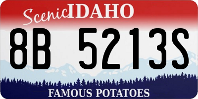 ID license plate 8B5213S