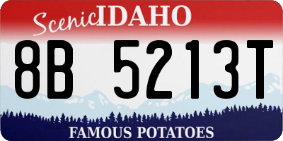 ID license plate 8B5213T