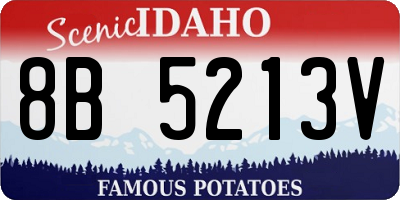 ID license plate 8B5213V
