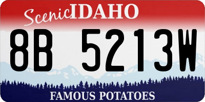 ID license plate 8B5213W
