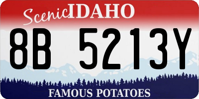 ID license plate 8B5213Y