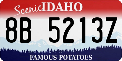 ID license plate 8B5213Z