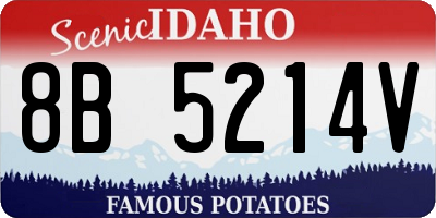 ID license plate 8B5214V