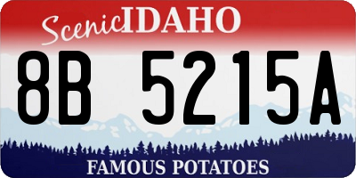 ID license plate 8B5215A