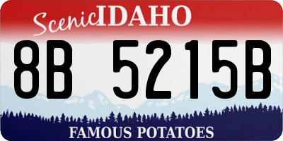 ID license plate 8B5215B