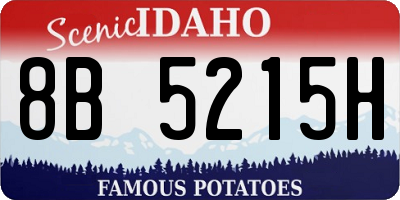 ID license plate 8B5215H